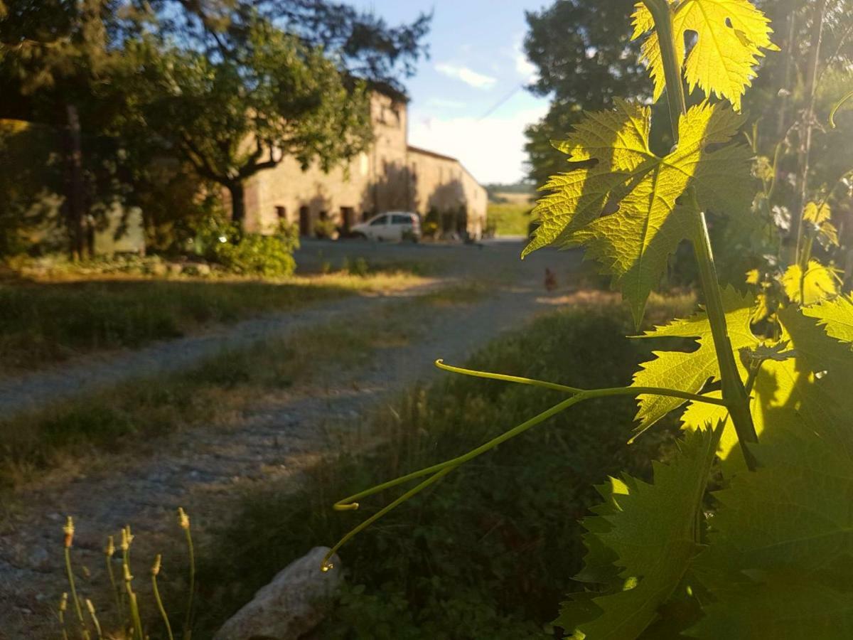 Agriturismo Podere Molino Peccioli Kültér fotó