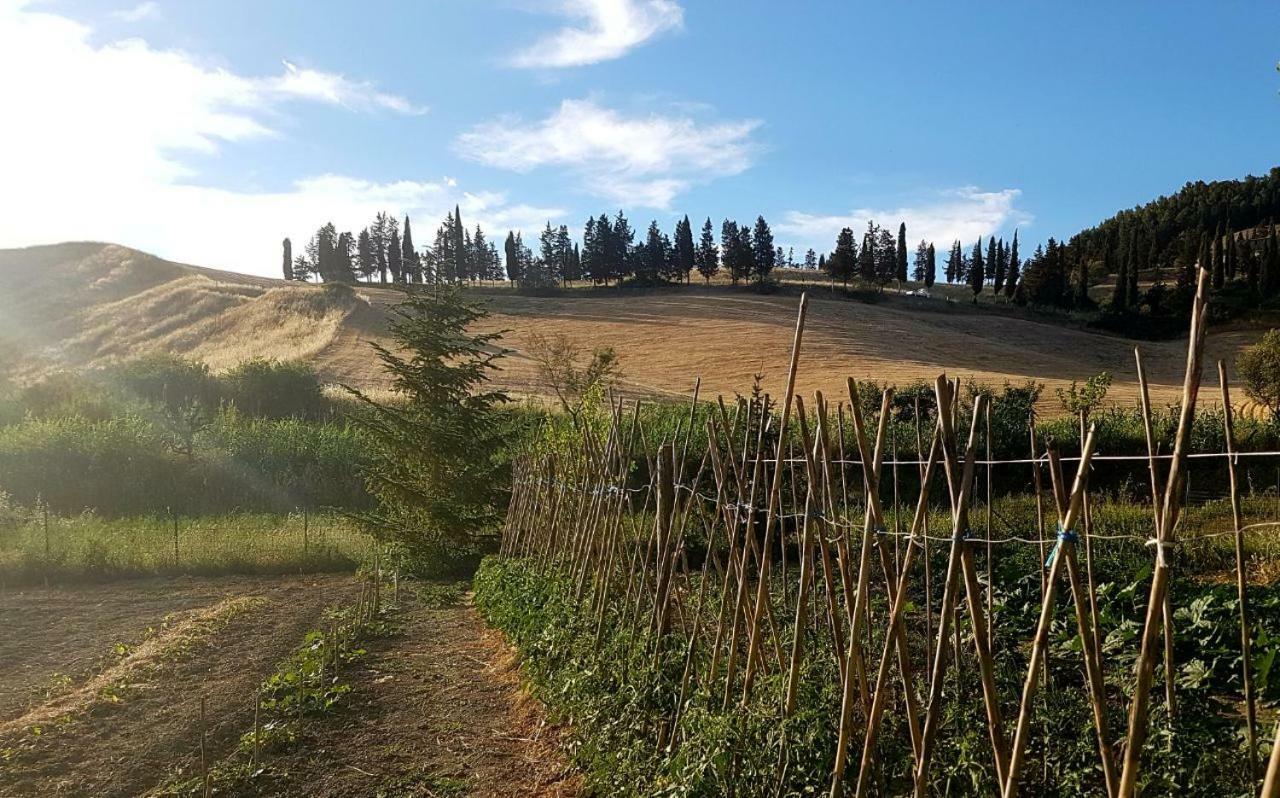 Agriturismo Podere Molino Peccioli Kültér fotó