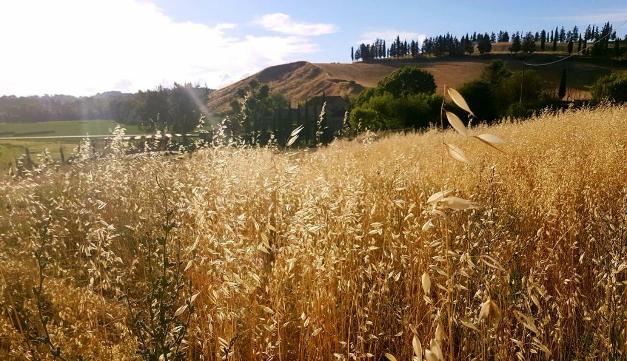 Agriturismo Podere Molino Peccioli Kültér fotó
