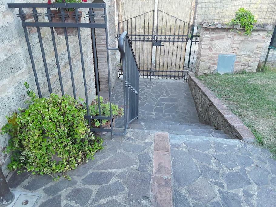 Agriturismo Podere Molino Peccioli Kültér fotó