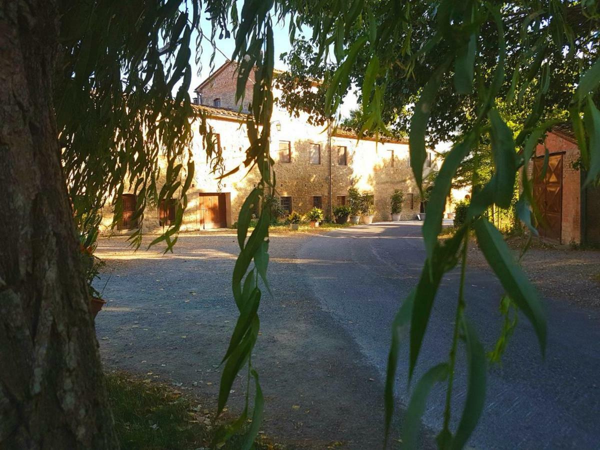 Agriturismo Podere Molino Peccioli Kültér fotó