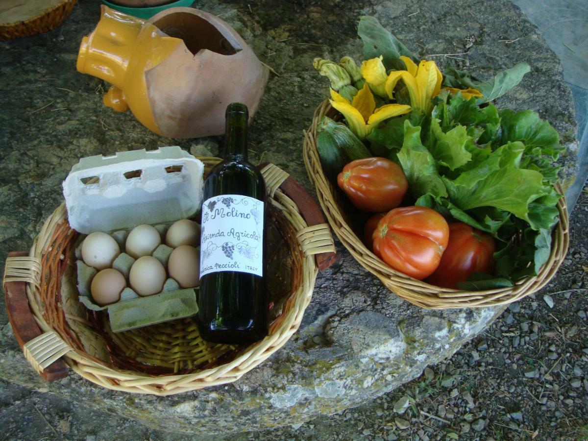 Agriturismo Podere Molino Peccioli Kültér fotó