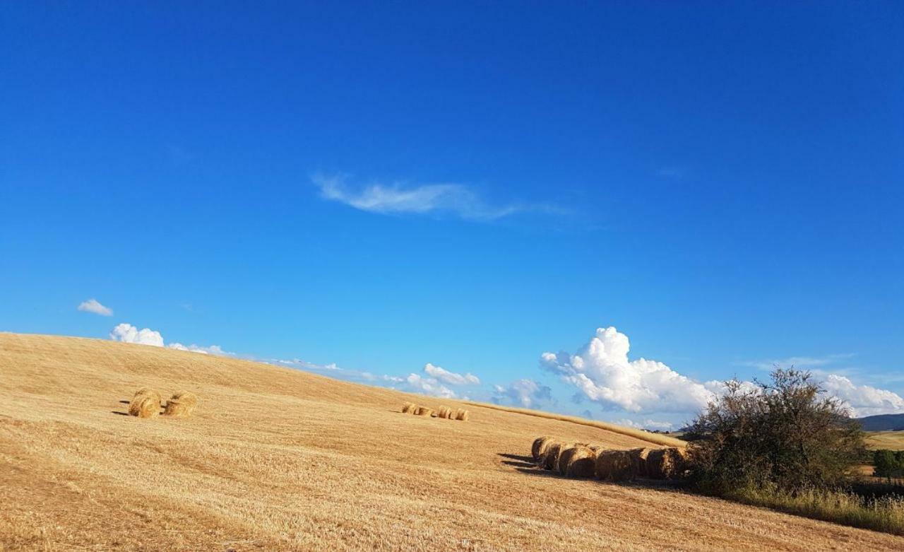 Agriturismo Podere Molino Peccioli Kültér fotó