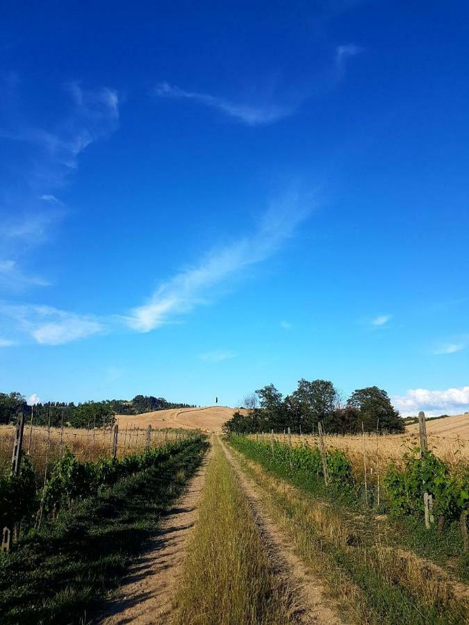 Agriturismo Podere Molino Peccioli Kültér fotó
