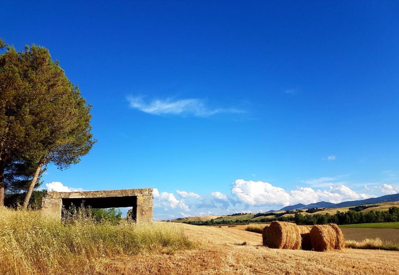 Agriturismo Podere Molino Peccioli Kültér fotó