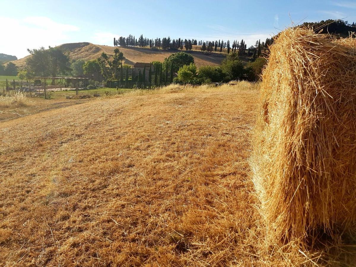 Agriturismo Podere Molino Peccioli Kültér fotó