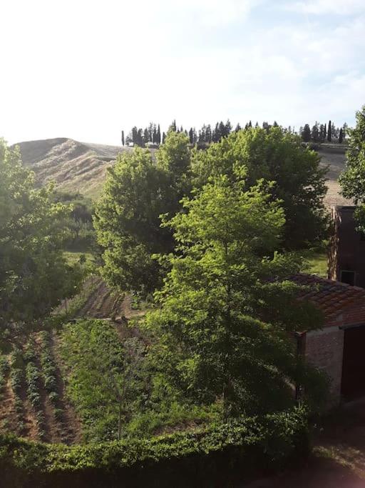 Agriturismo Podere Molino Peccioli Kültér fotó