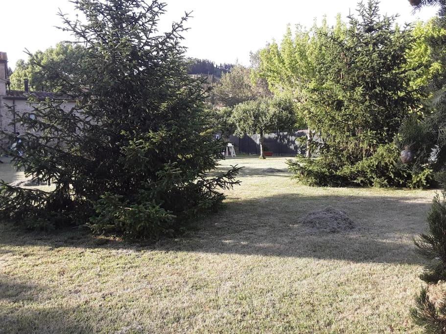 Agriturismo Podere Molino Peccioli Kültér fotó